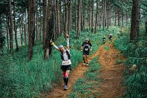 BIB: 
                            <button type="button" onclick="openModal(25697300)" class="btn btn-primary btn-sm float-right btn-popup" data-toggle="modal" data-target=".modal-high-quality">
                        <i class="fas fa-shopping-cart"></i> Add to Cart
                    </button>
                                            <button type="button" onclick="isThisMe(25697300, true)" class="btn btn-success btn-sm float-right btn-popup btn-isme hidden" data-toggle="tooltip" data-placement="bottom" title="นี่คือรูปของคุณใช่ไหม คลิกที่นี่เพื่อเอาเข้าอัลบั้ม">
                        <i class="fas fa-plus"></i> Add to album
                    </button>
                    <button type="button" onclick="isThisMe(25697300, false)" class="btn btn-warning btn-sm float-right btn-popup btn-isnotme hidden">
                        <i class="fas fa-ban"></i> Remove from album
                    </button>